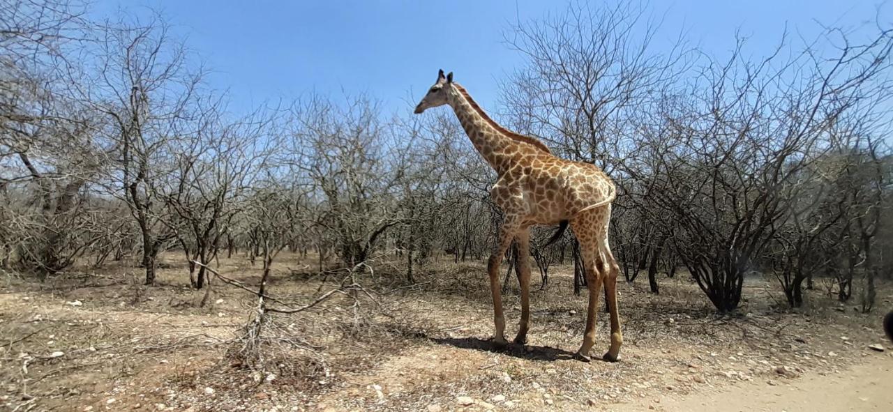 Kruger Riverside Lodge - No Load-Shedding Marloth Park Kültér fotó