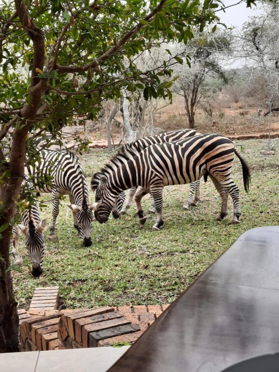 Kruger Riverside Lodge - No Load-Shedding Marloth Park Kültér fotó