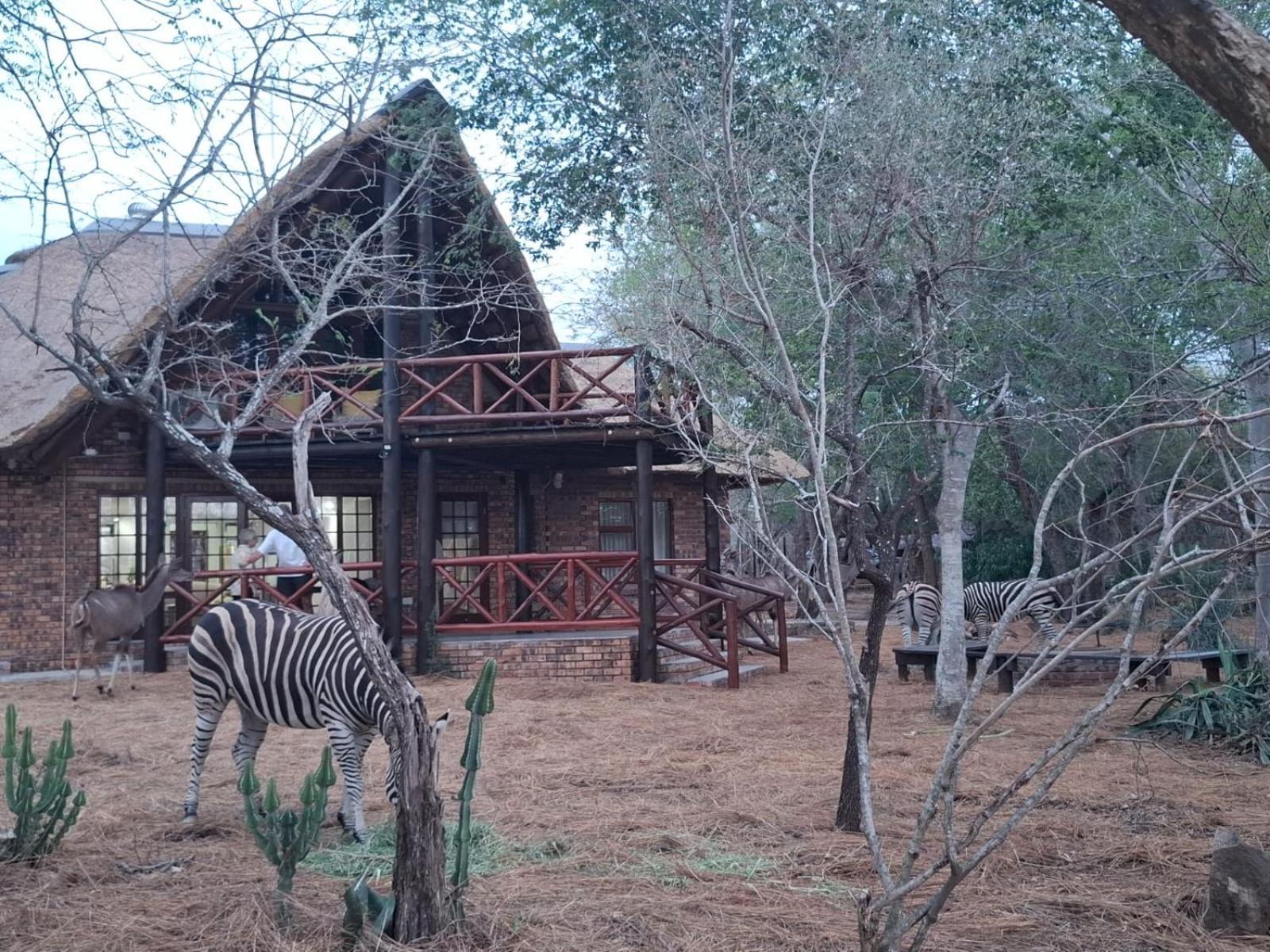 Kruger Riverside Lodge - No Load-Shedding Marloth Park Kültér fotó