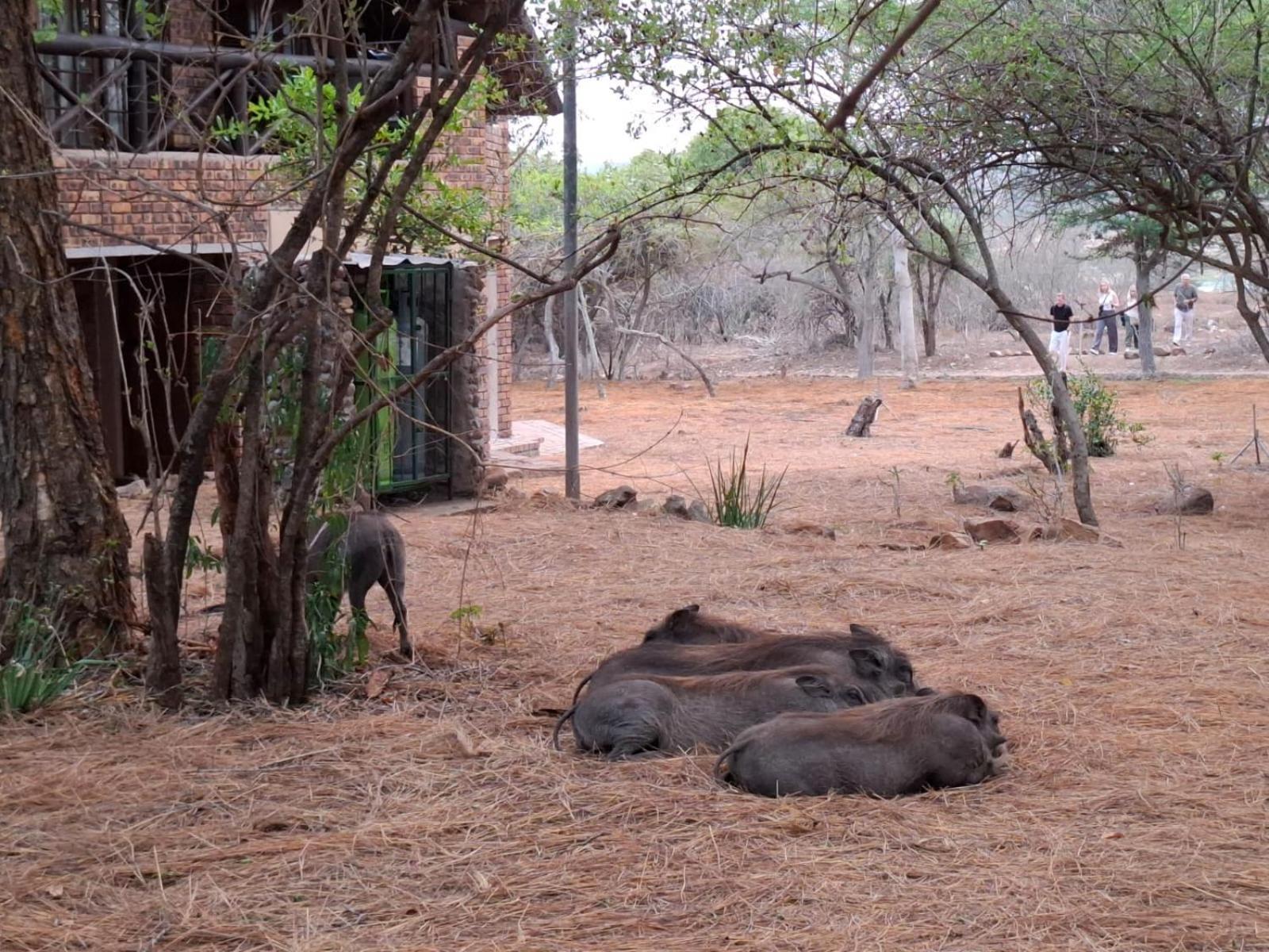 Kruger Riverside Lodge - No Load-Shedding Marloth Park Kültér fotó