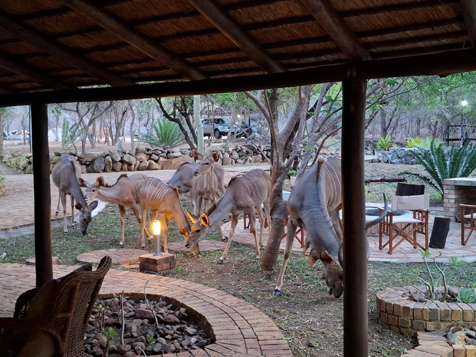 Kruger Riverside Lodge - No Load-Shedding Marloth Park Kültér fotó