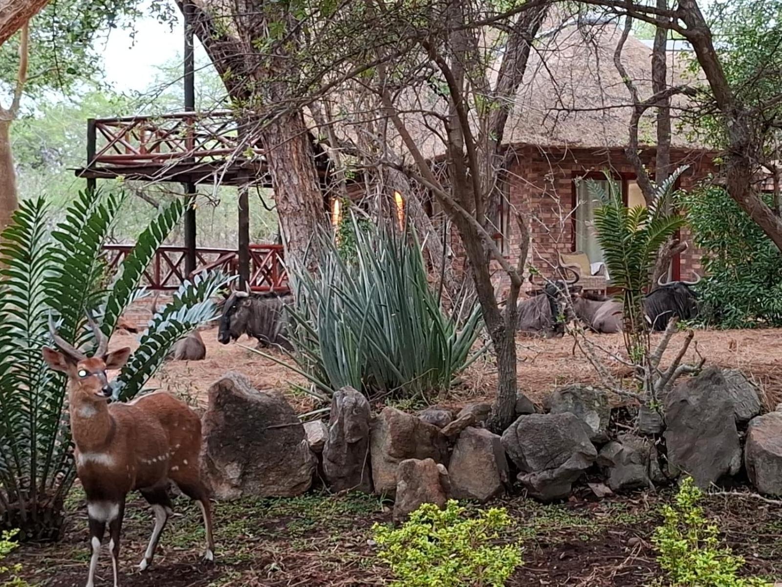Kruger Riverside Lodge - No Load-Shedding Marloth Park Kültér fotó
