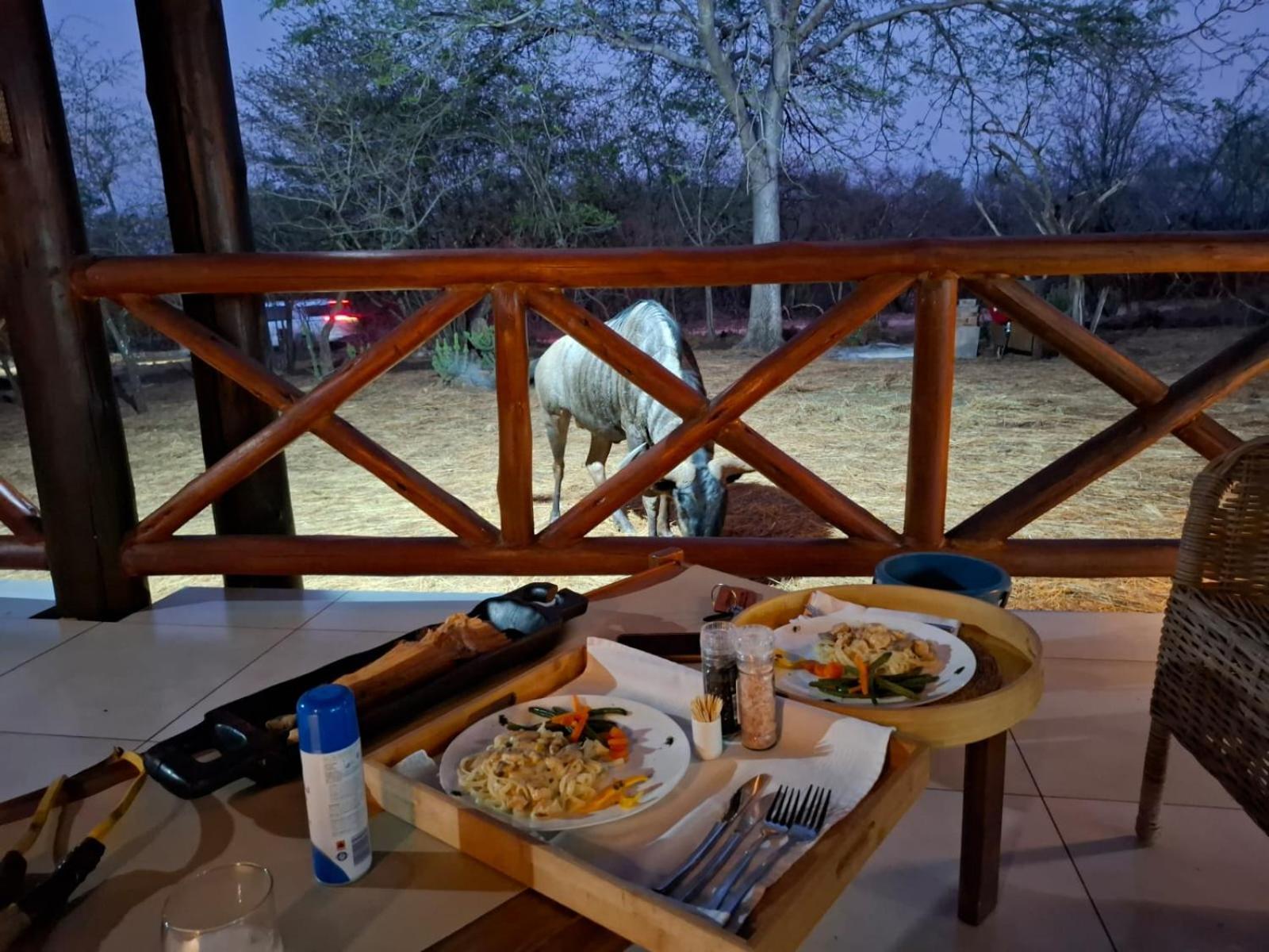 Kruger Riverside Lodge - No Load-Shedding Marloth Park Kültér fotó